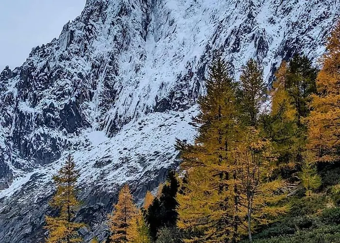 Happy Moose - Cosy Mont Blanc View With Sauna Apartamento *