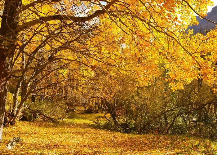 Happy Moose - Cosy Mont Blanc View With Sauna Apartamento Chamonix Mont Blanc