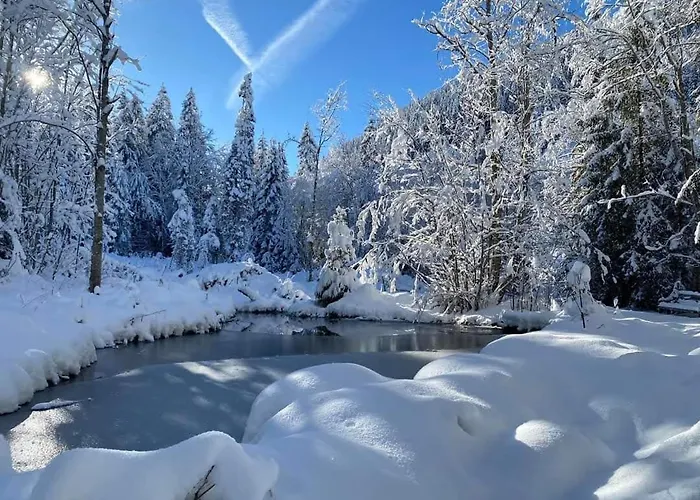 Happy Moose - Cosy Mont Blanc View With Sauna Apartamento