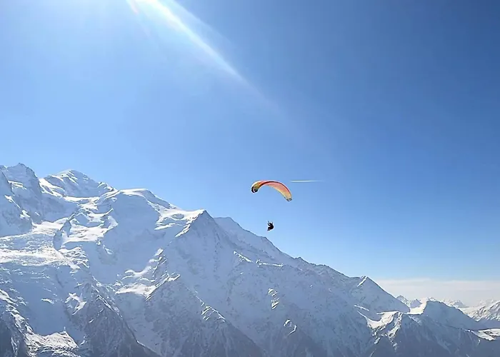 Апартаменты Happy Moose - Cosy Mont Blanc View With Sauna Шамони