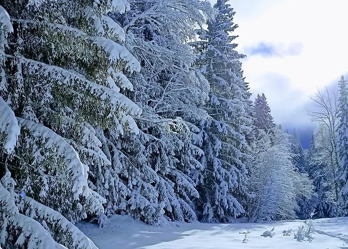Happy Moose - Cosy Mont Blanc View With Sauna Шамони