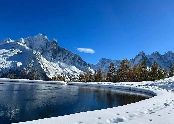 Happy Moose - Cosy Mont Blanc View With Sauna Apartamento Chamonix Mont Blanc