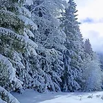 Happy Moose - Cosy Mont Blanc View With Sauna Шамоні