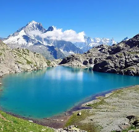 Happy Moose - Cosy Mont Blanc View With Sauna Chamonix Mont Blanc