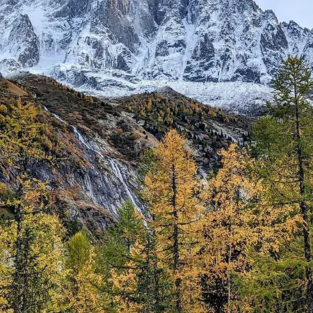 Appartamento Happy Moose - Cosy Mont Blanc View With Sauna