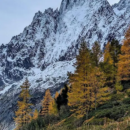 Happy Moose - Cosy Mont Blanc View With Sauna Lejlighed *