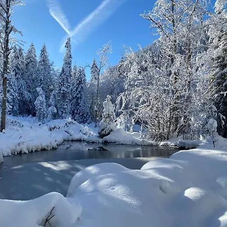 Happy Moose - Cosy Mont Blanc View With Sauna 公寓