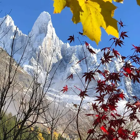 Appartamento Happy Moose - Cosy Mont Blanc View With Sauna *