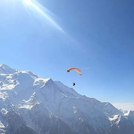 Lejlighed Happy Moose - Cosy Mont Blanc View With Sauna Chamonix