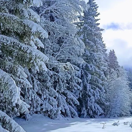 Happy Moose - Cosy Mont Blanc View With Sauna Chamonix