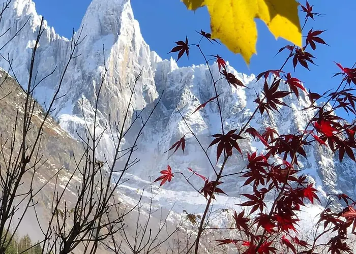 아파트 Happy Moose - Cosy Mont Blanc View With Sauna *