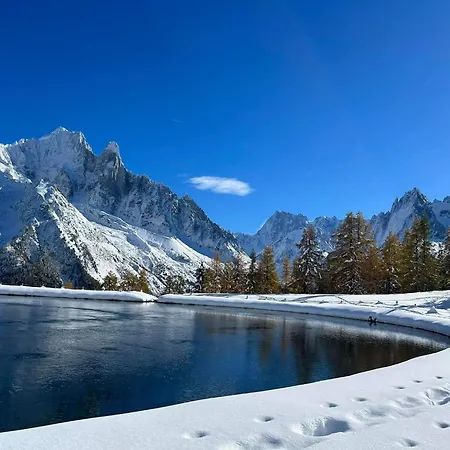 Happy Moose - Cosy Mont Blanc View With Sauna アパート シャモニー