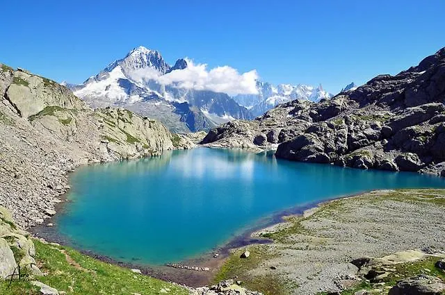 Happy Moose - Cosy Mont Blanc View With Sauna シャモニー