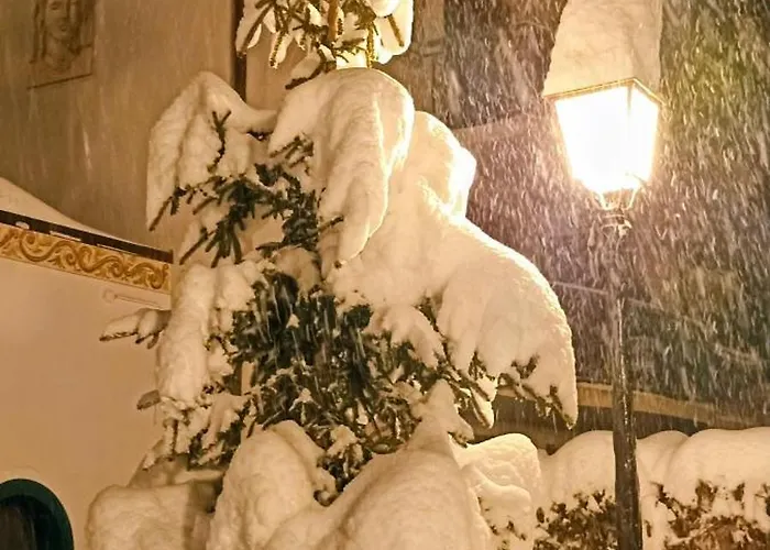 Happy Moose - Cosy Mont Blanc View With Sauna アパート